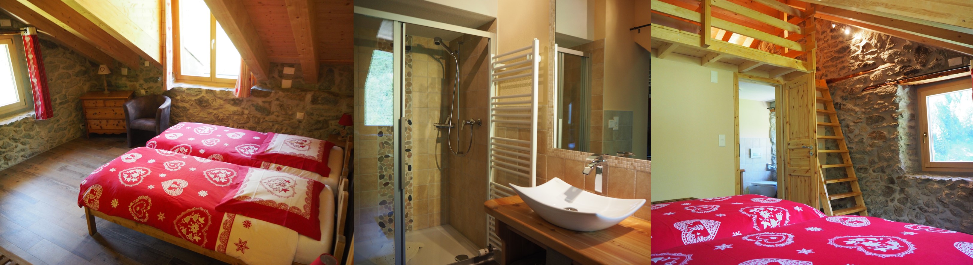 Hotel Aiguille la tza